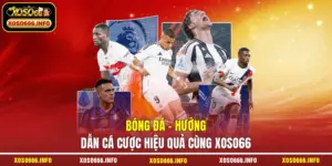 Bóng đá
