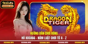 Hướng dẫn chơi rồng hổ